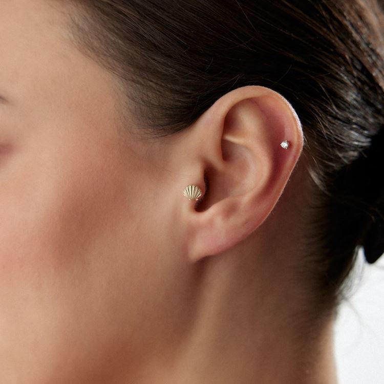 İstiridye Tasarım Piercing