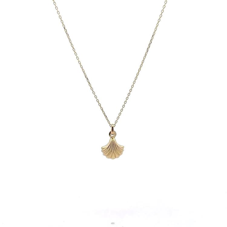 Deniz Kabuğu Kolye